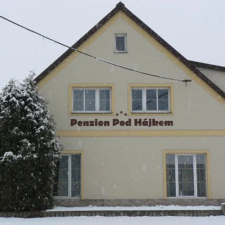 Guest house Pod Hajkem 3*